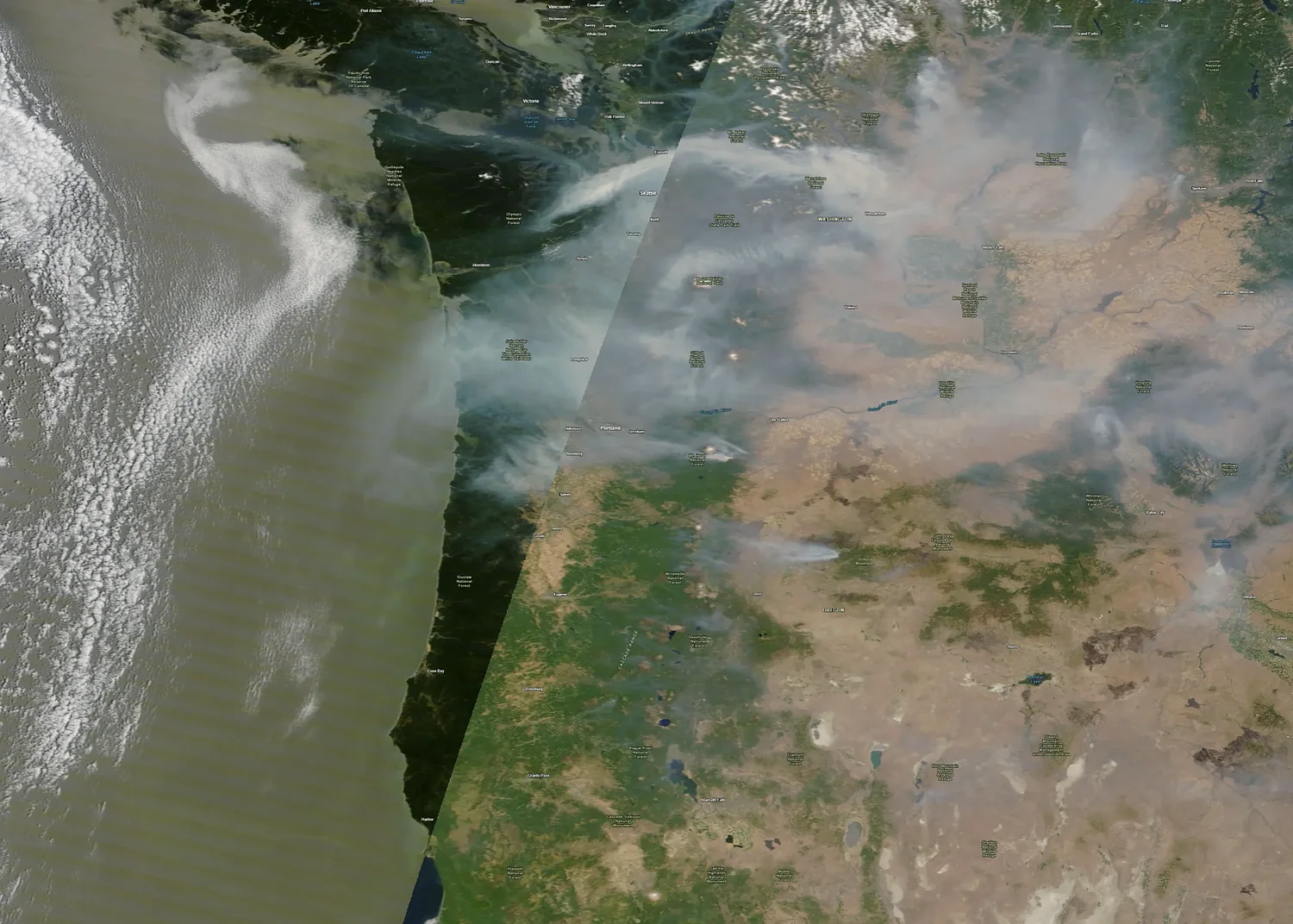 Wildfire smoke expected to settle in Lane County 