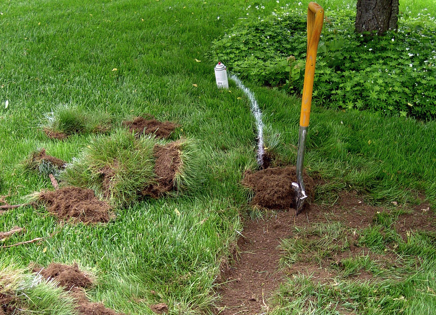 There’s a money-saving way to dig a garden and fix the lawn at the same time