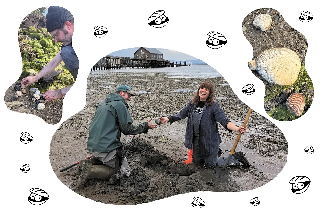 A Beginner's Guide to Bay Clamming