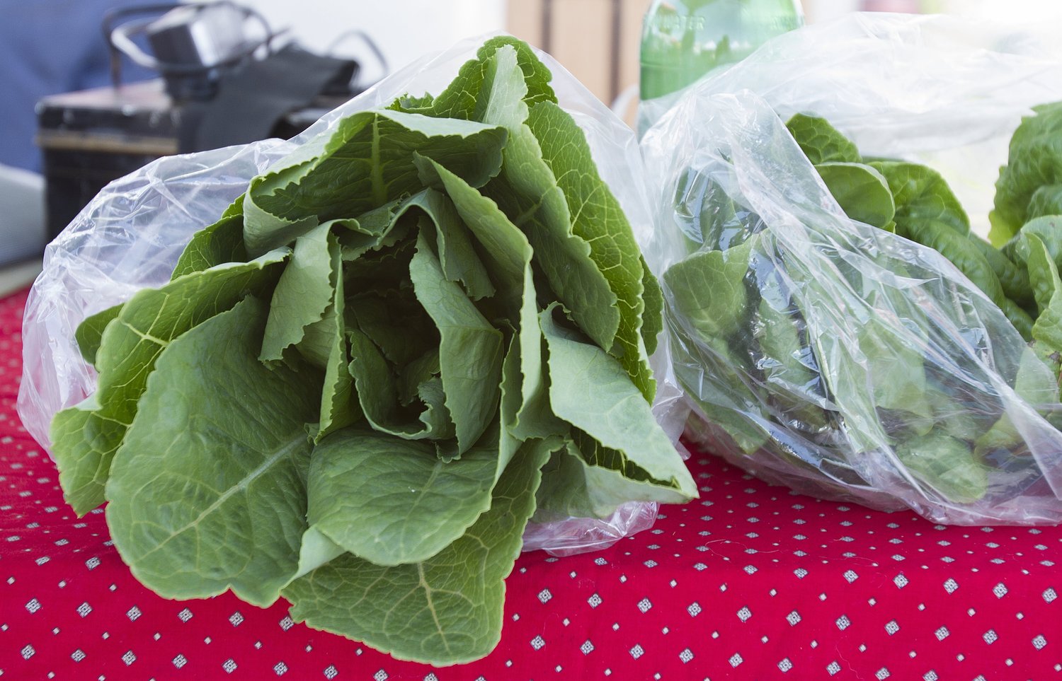These are the potential sources behind Michigan’s diarrhea-causing illness
