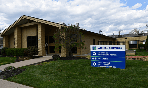 Kenton County Fiscal Court votes to terminate animal services director, coordinator
