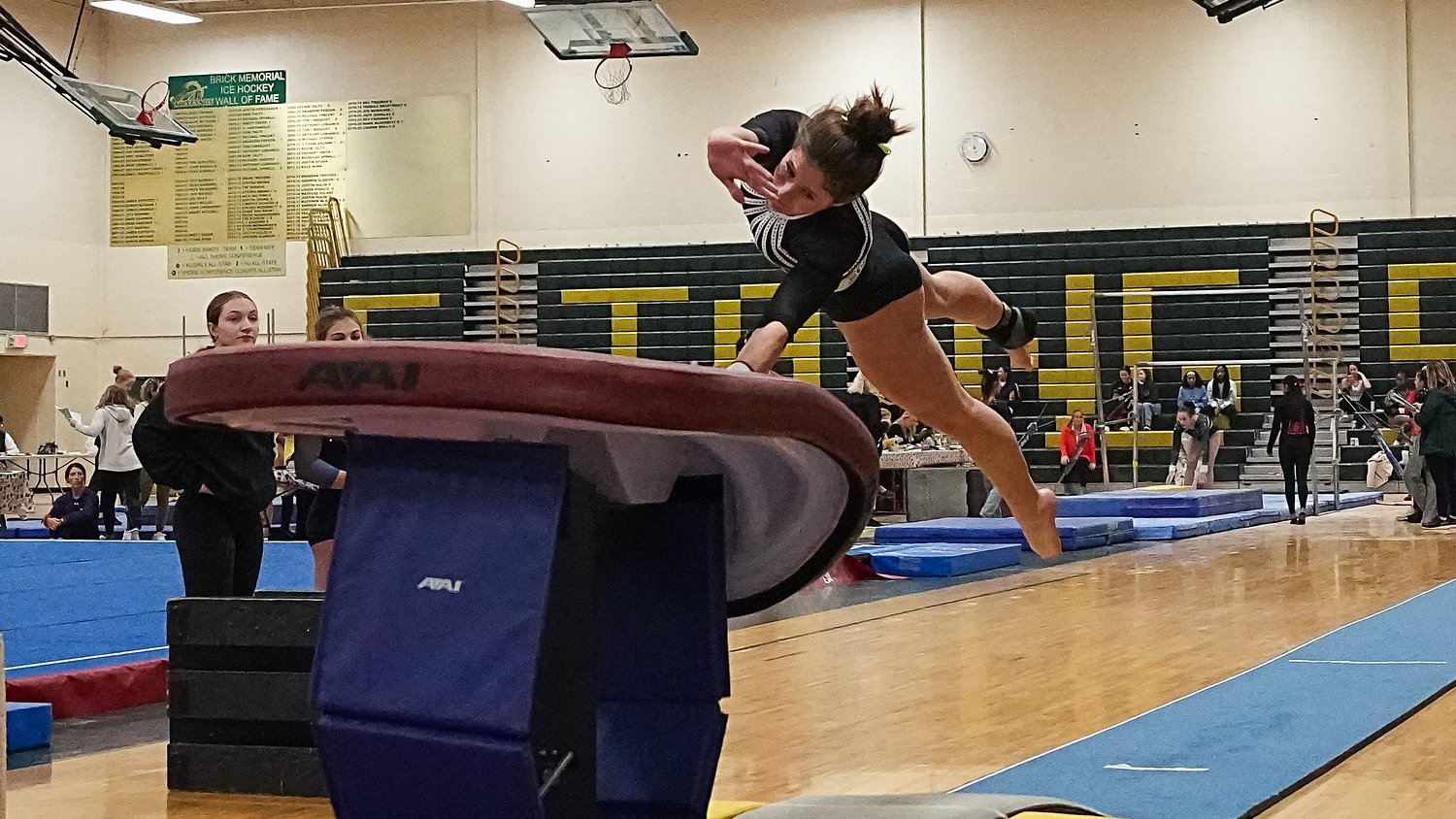 NJSIAA Gymnastics individual qualifiers as of Oct. 9