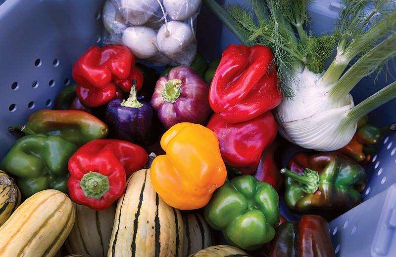 The Harvest Food Club opens food box subscriptions
