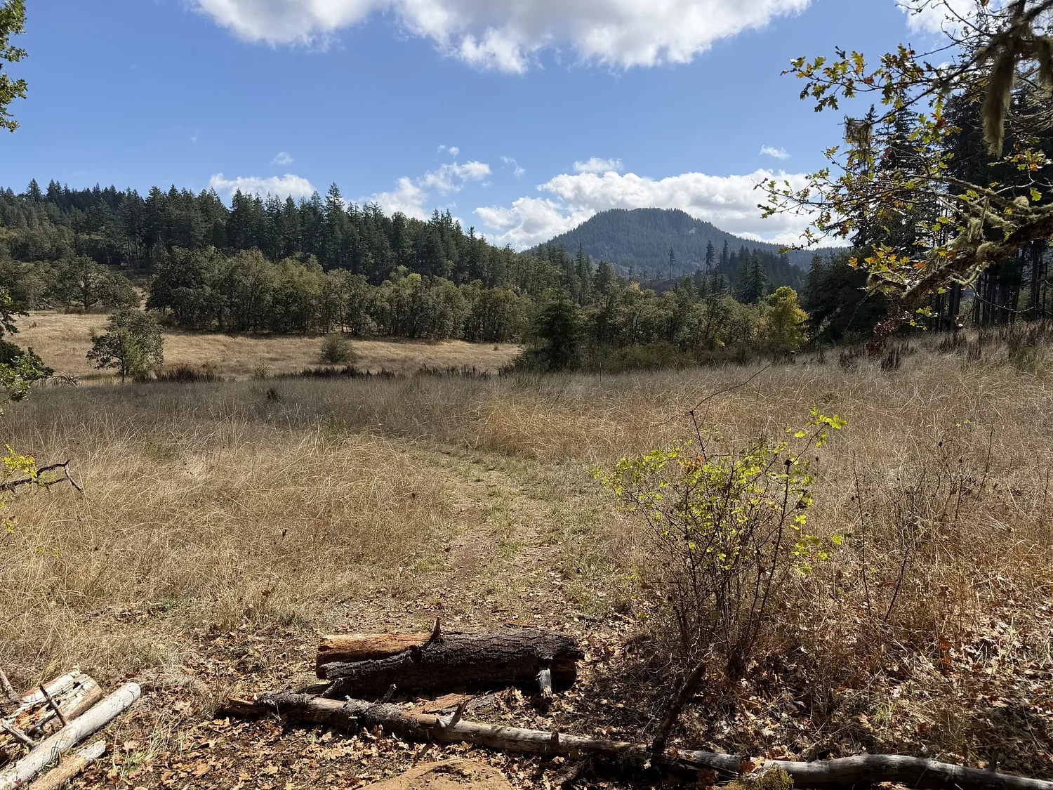 Pretty new section of Ridgeline Trail makes you feel like you're in Africa ... no, Italy ... no ...