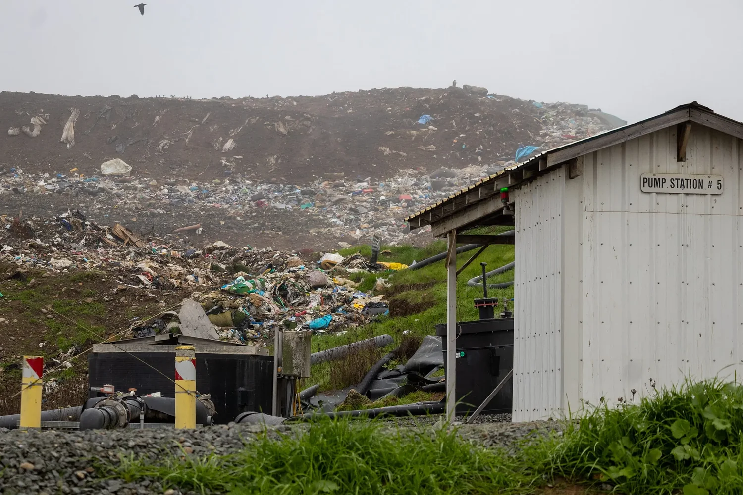 Lane County hearings official weighs appeal to stop CleanLane site