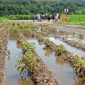 From floods to funding: Massachusetts farmers receiving disaster aid three years later