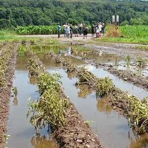 From floods to funding: Massachusetts farmers receiving disaster aid three years later