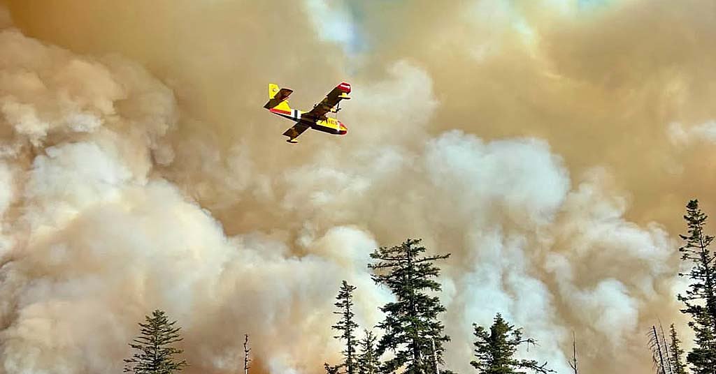 As fires rage, tone-deaf timber group blames environmentalists for blaze
