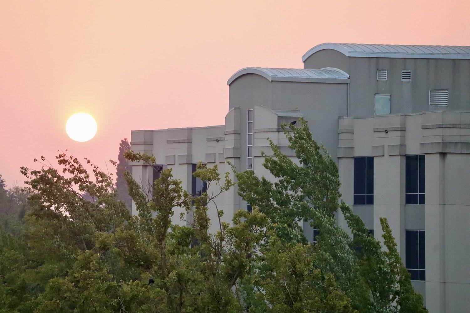 Wildfire smoke traps 'unhealthy' air in  Eugene-Springfield