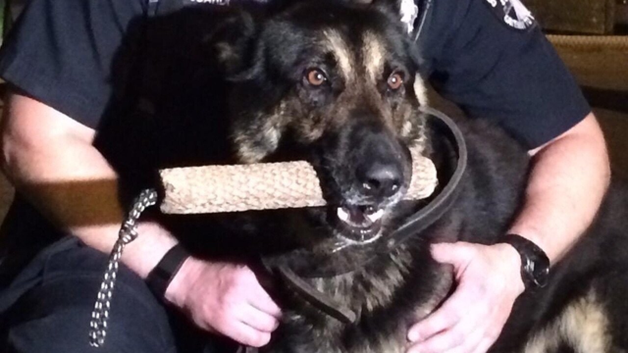 New South Covington dog park to be named after police dog that led to law changes