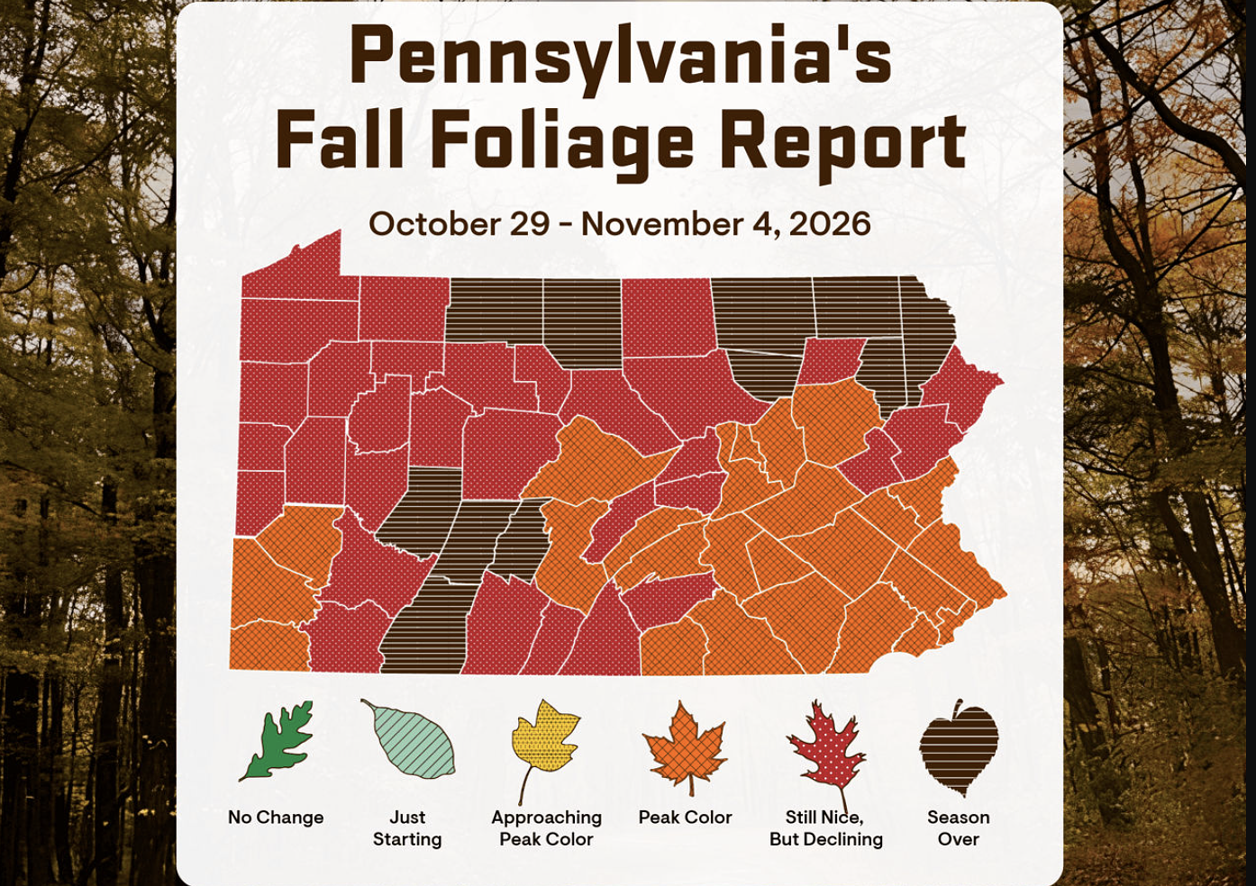 The peak of fall foliage arrives in central Pa.: Where to see the best colors