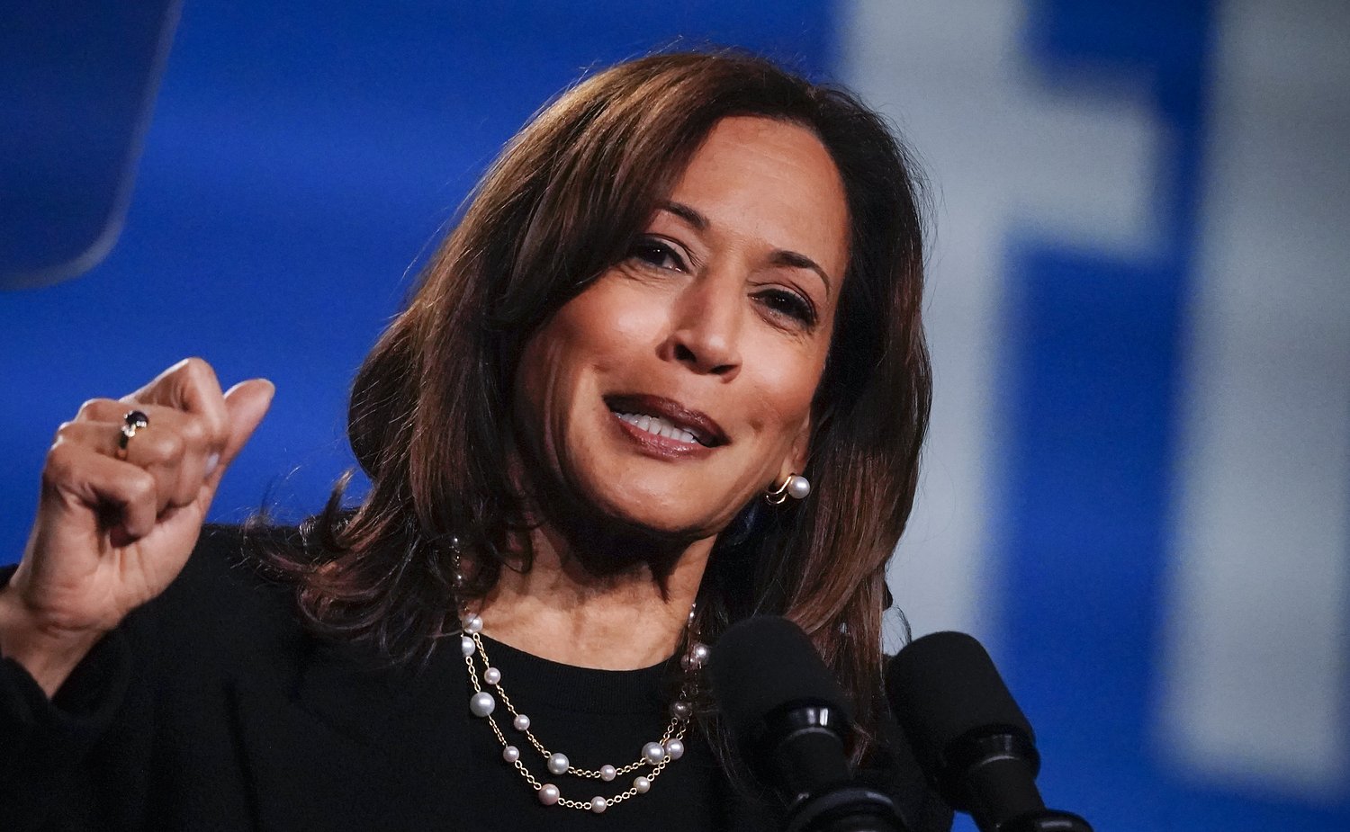 Kamala Harris roasted after verbal flub at rally for top Dem