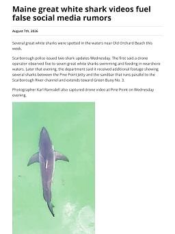 Maine great white shark videos fuel false social media rumors