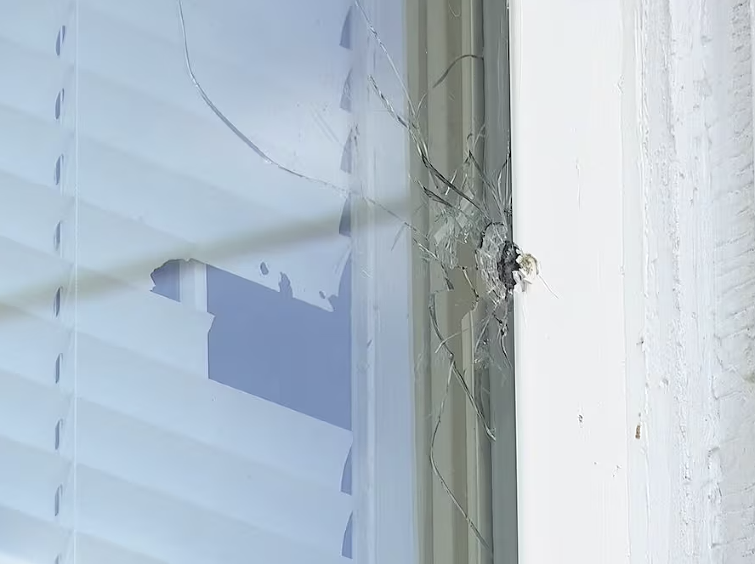 Georgia elections official’s home shot at multiple times