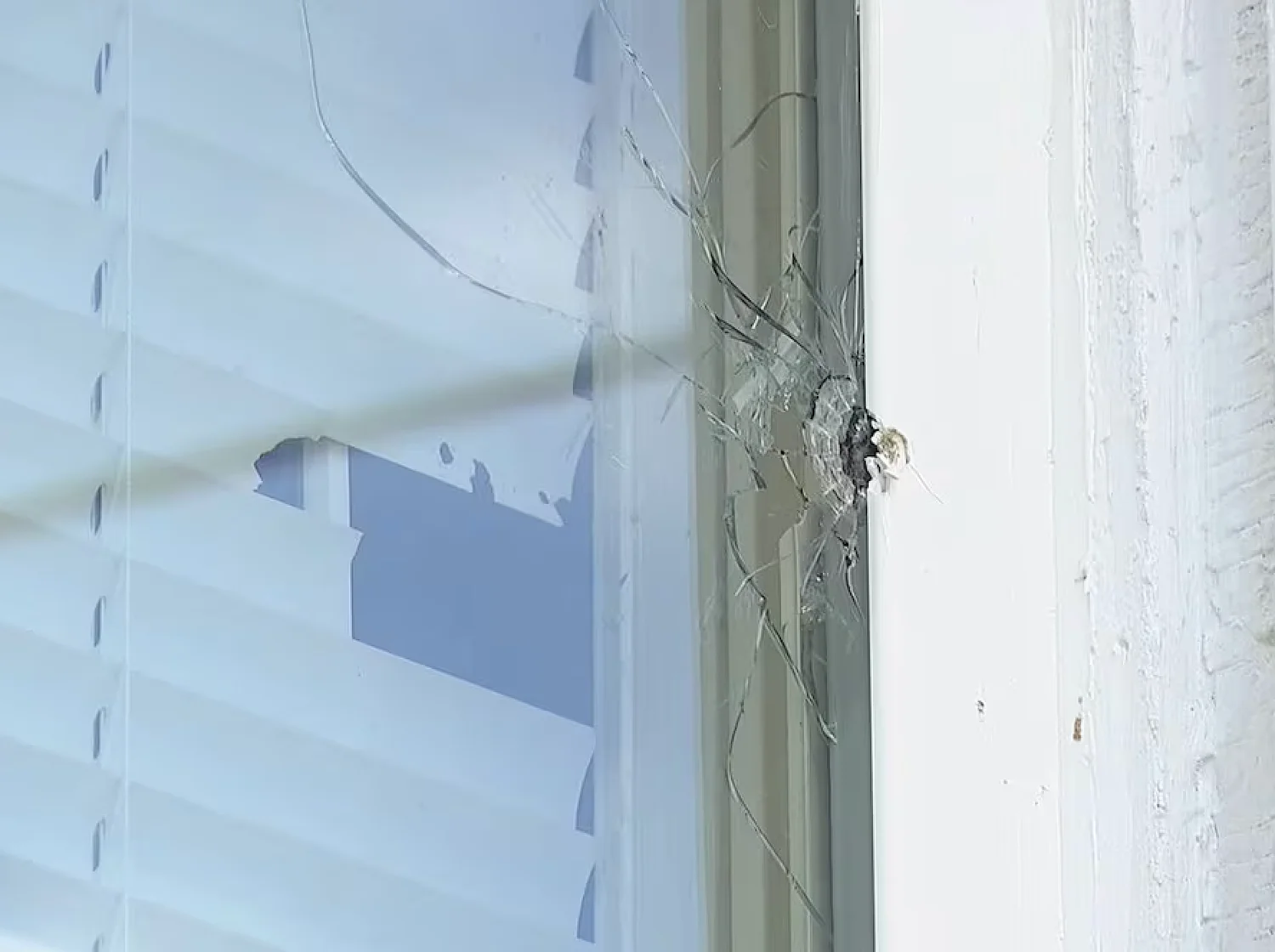Georgia elections official’s home shot at multiple times