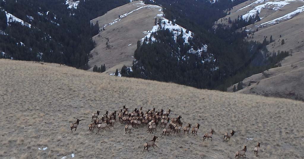 Bring in the bulldozers: Fed scheme to monetize ‘one of wildest places left in US’ revs up