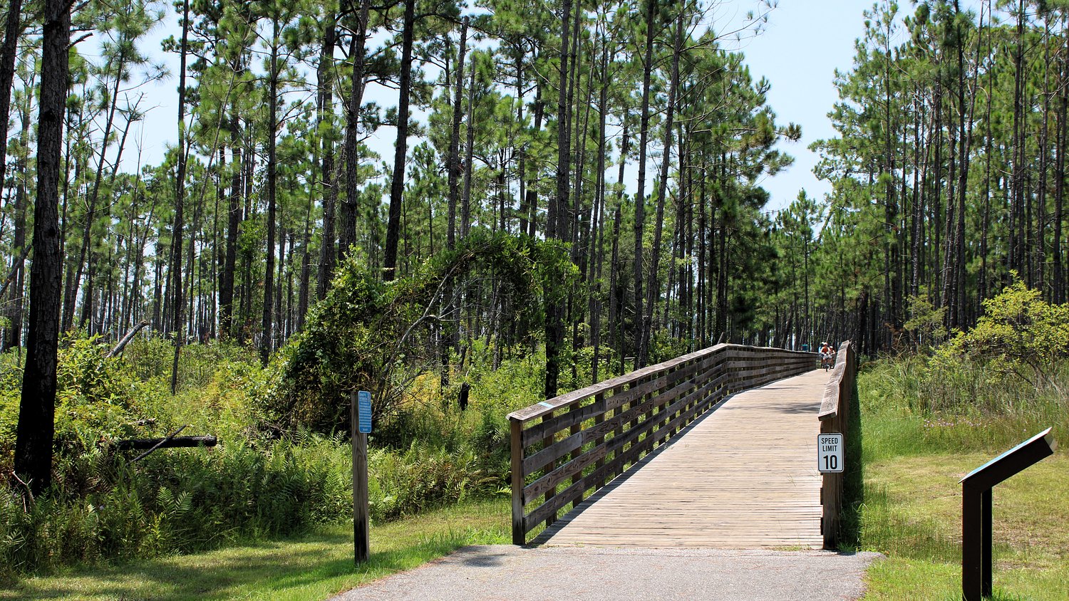 Scenic Alabama town ranked among 9 most laid back places in the country