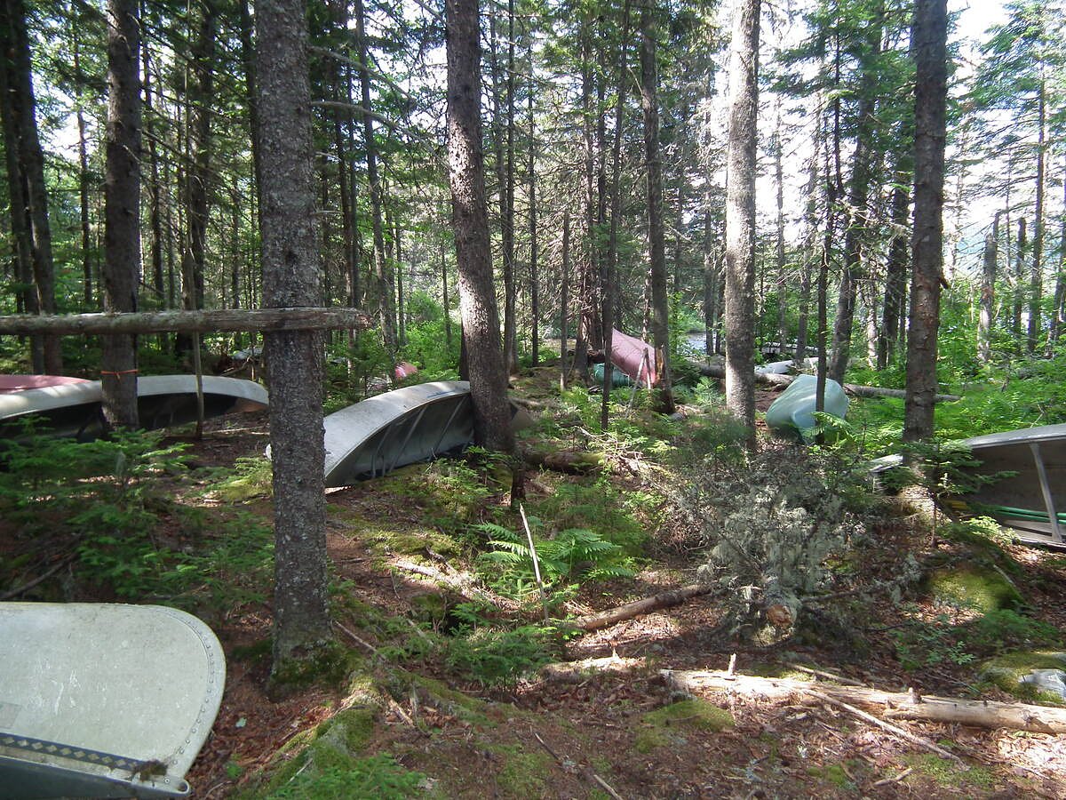I hadn’t fished these Maine ponds in decades. Then I saw all the canoes.