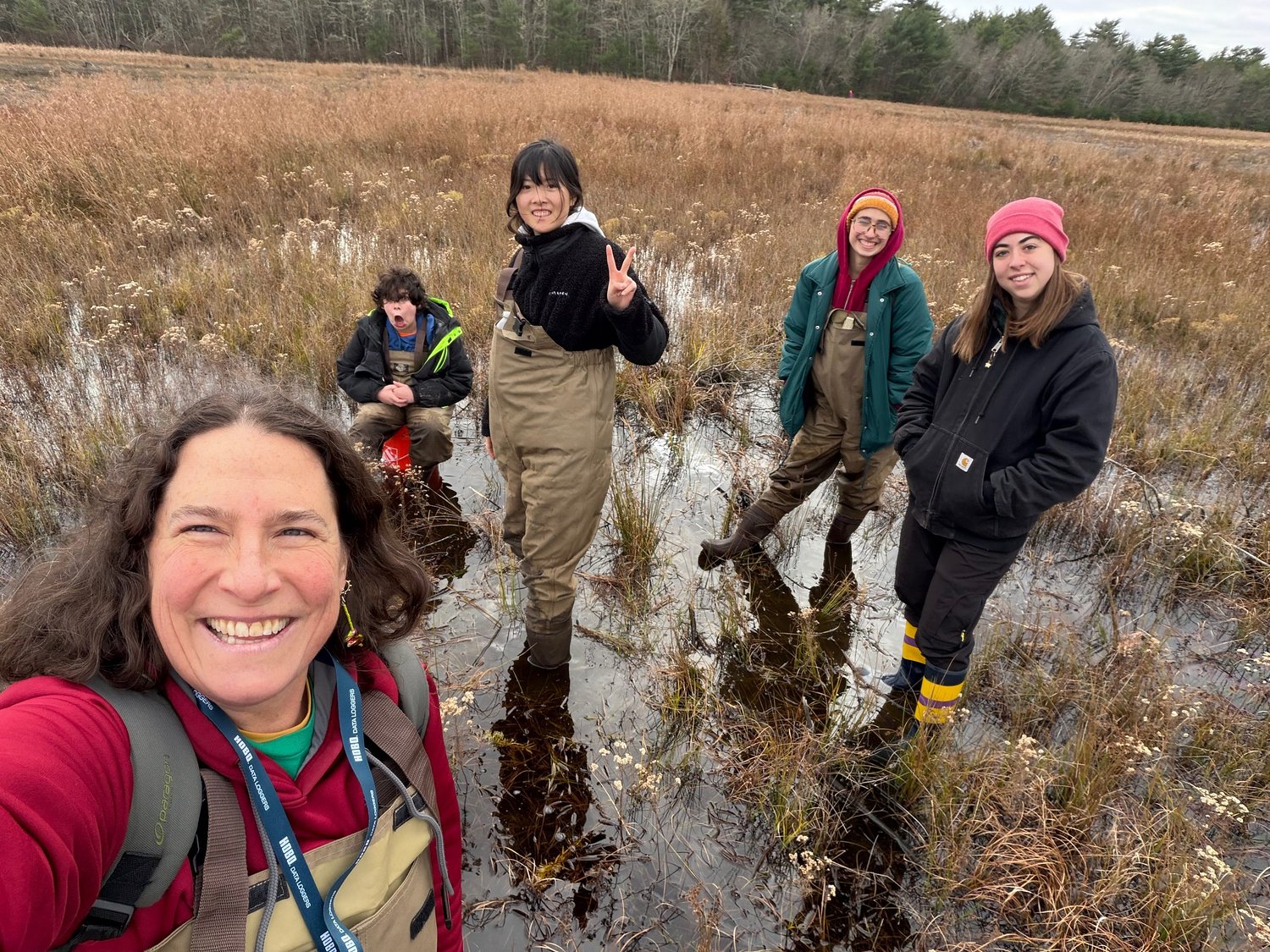 Earth Matters: Bangers on the bog