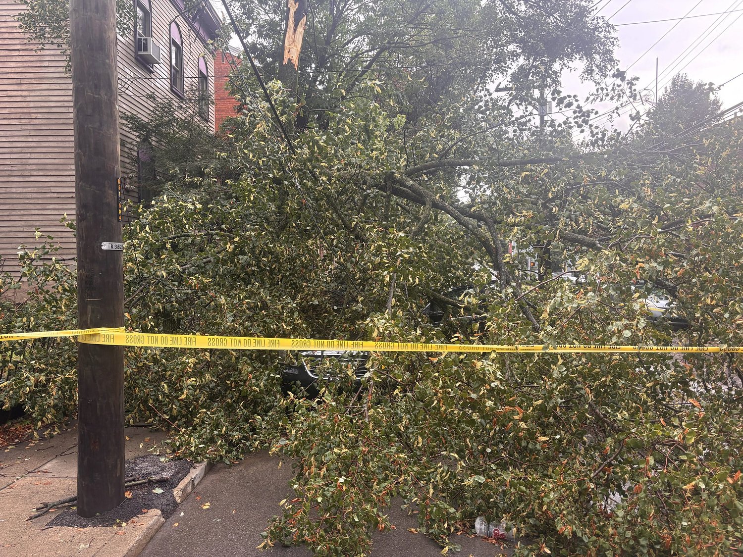 Kenton County declares state of emergency following weather damage