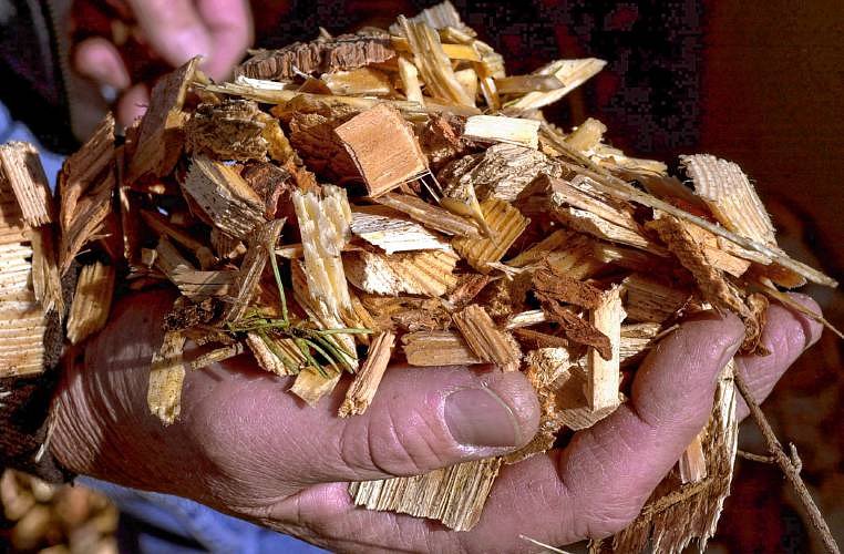 Senate amendment closes biomass loophole; regional activists call it a win after 15-year fight