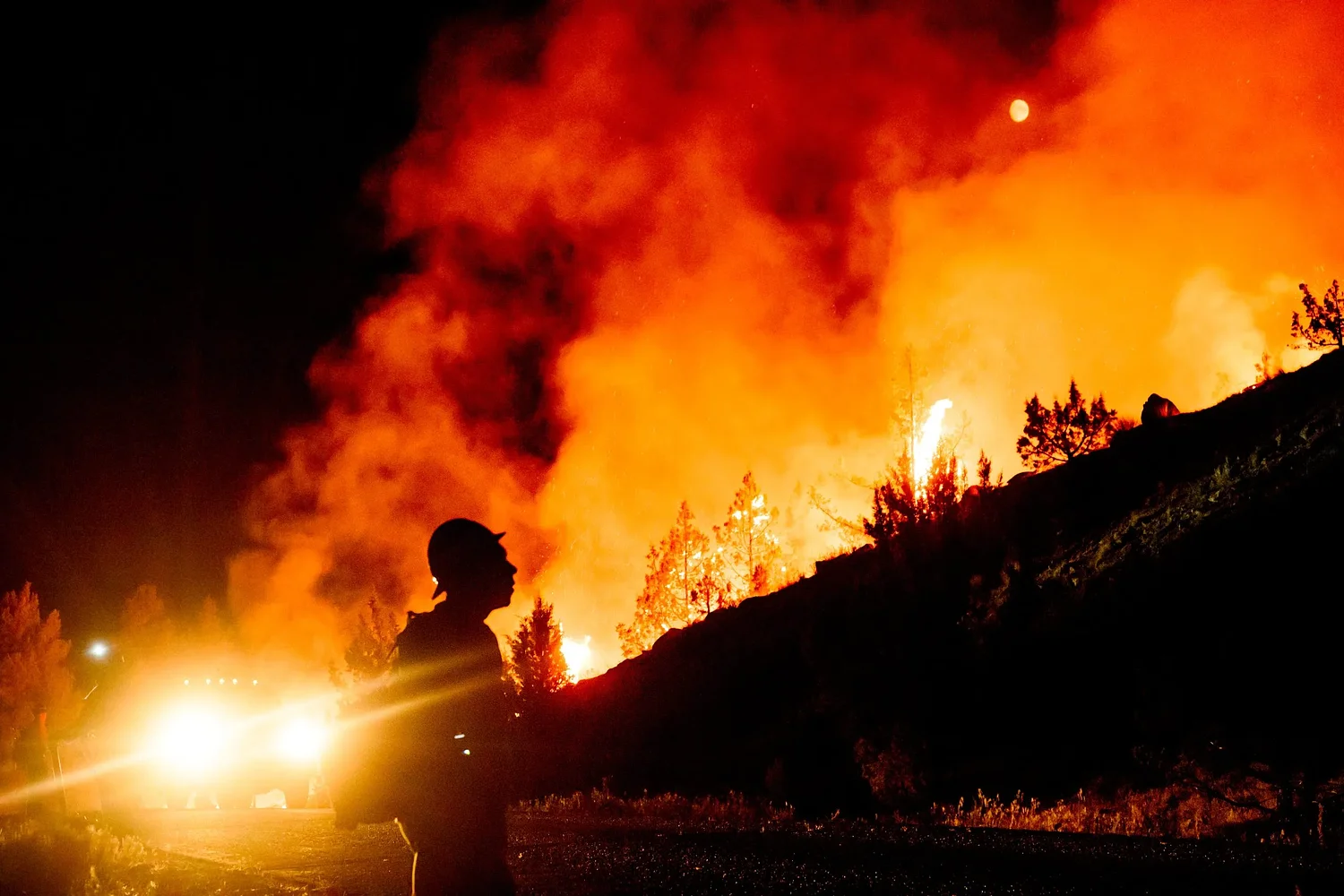 The Strongest El Niño in History Is Coming. Get Ready.