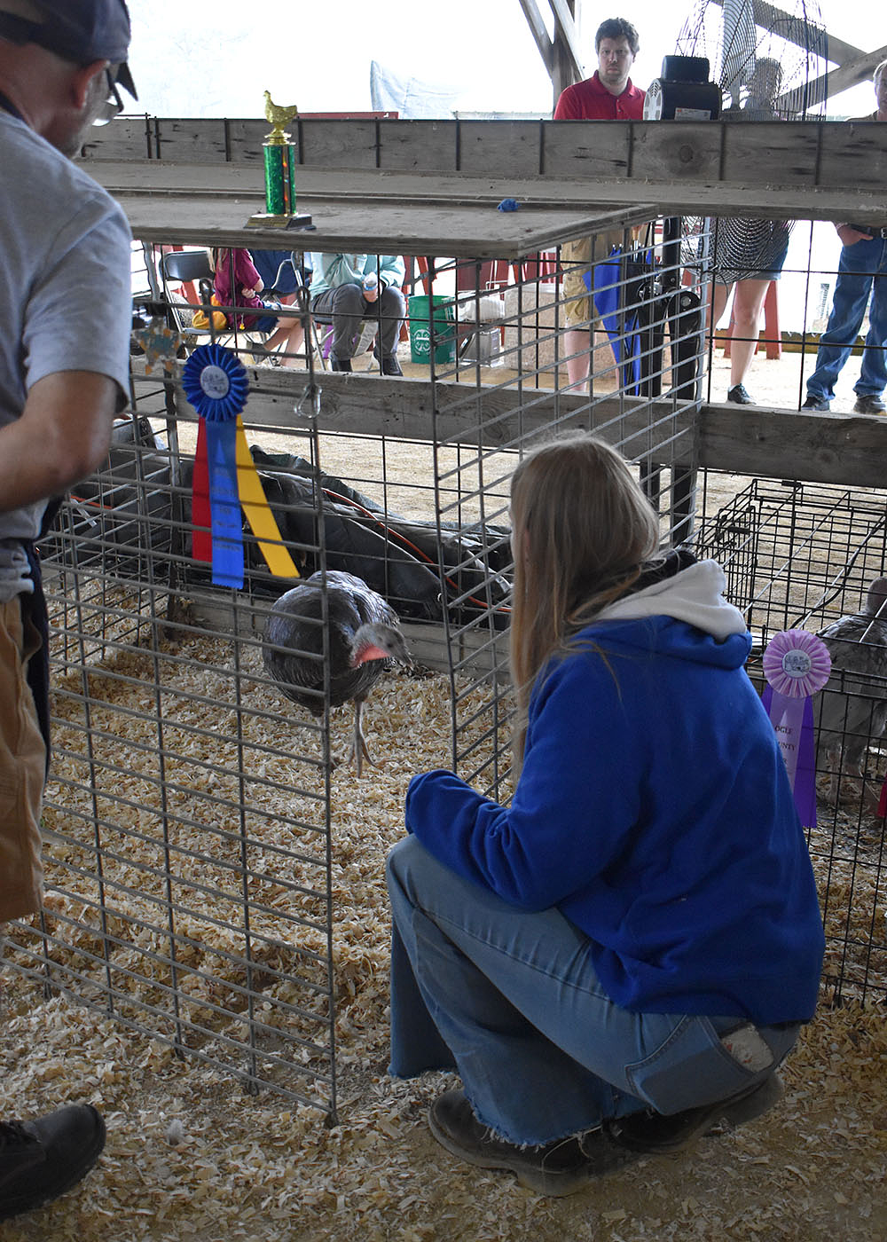 2026 Ogle County Fair poultry department winners named