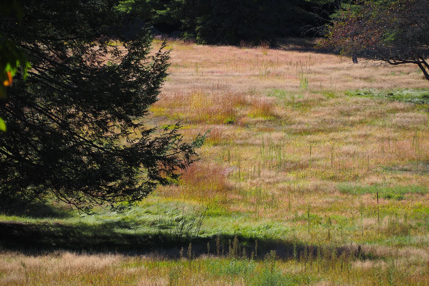 As drought expands across central NH again this fall, in some places it never fully went away