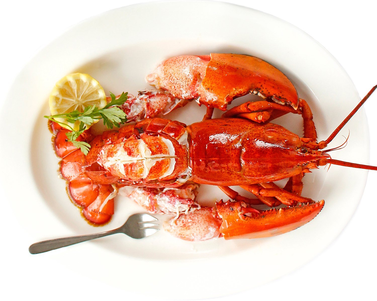 First suburban location of Chops Lobster Bar opening in Johns Creek