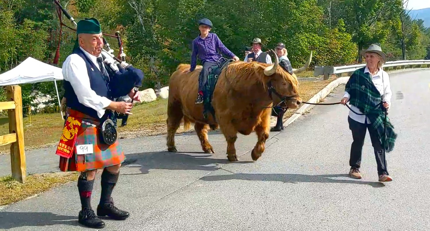 From the Farm: The now of the cow