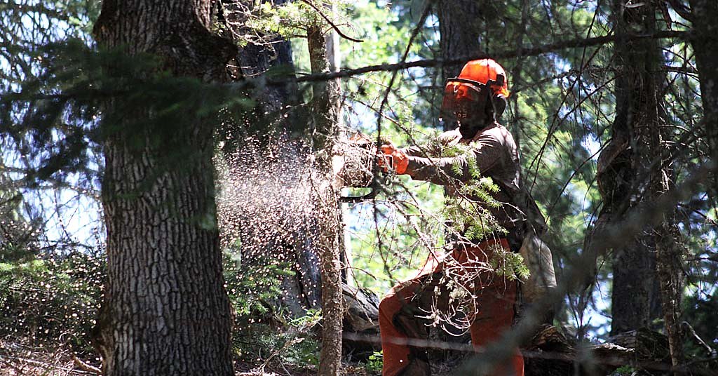A court freed millions for wildfire mitigation. A Trump proposal could freeze it again