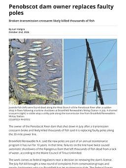 Penobscot dam owner replaces faulty poles