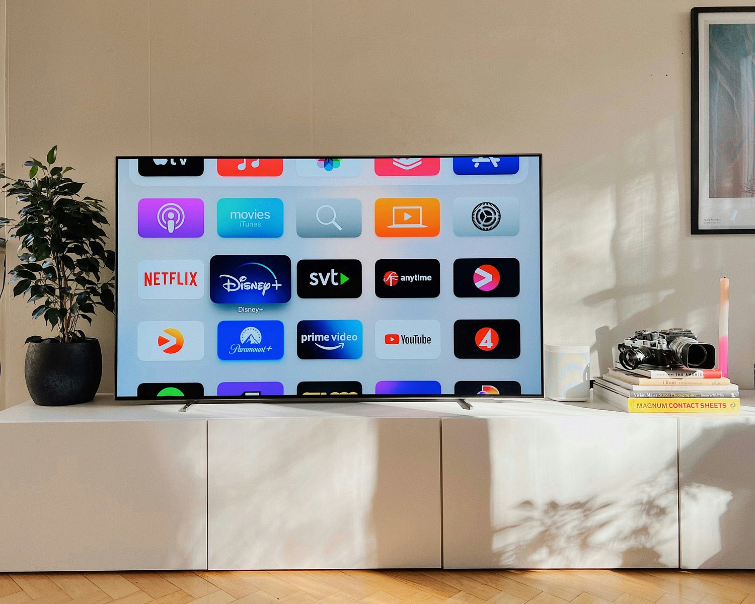 Many Americans drop streaming platforms for being ‘too expensive’