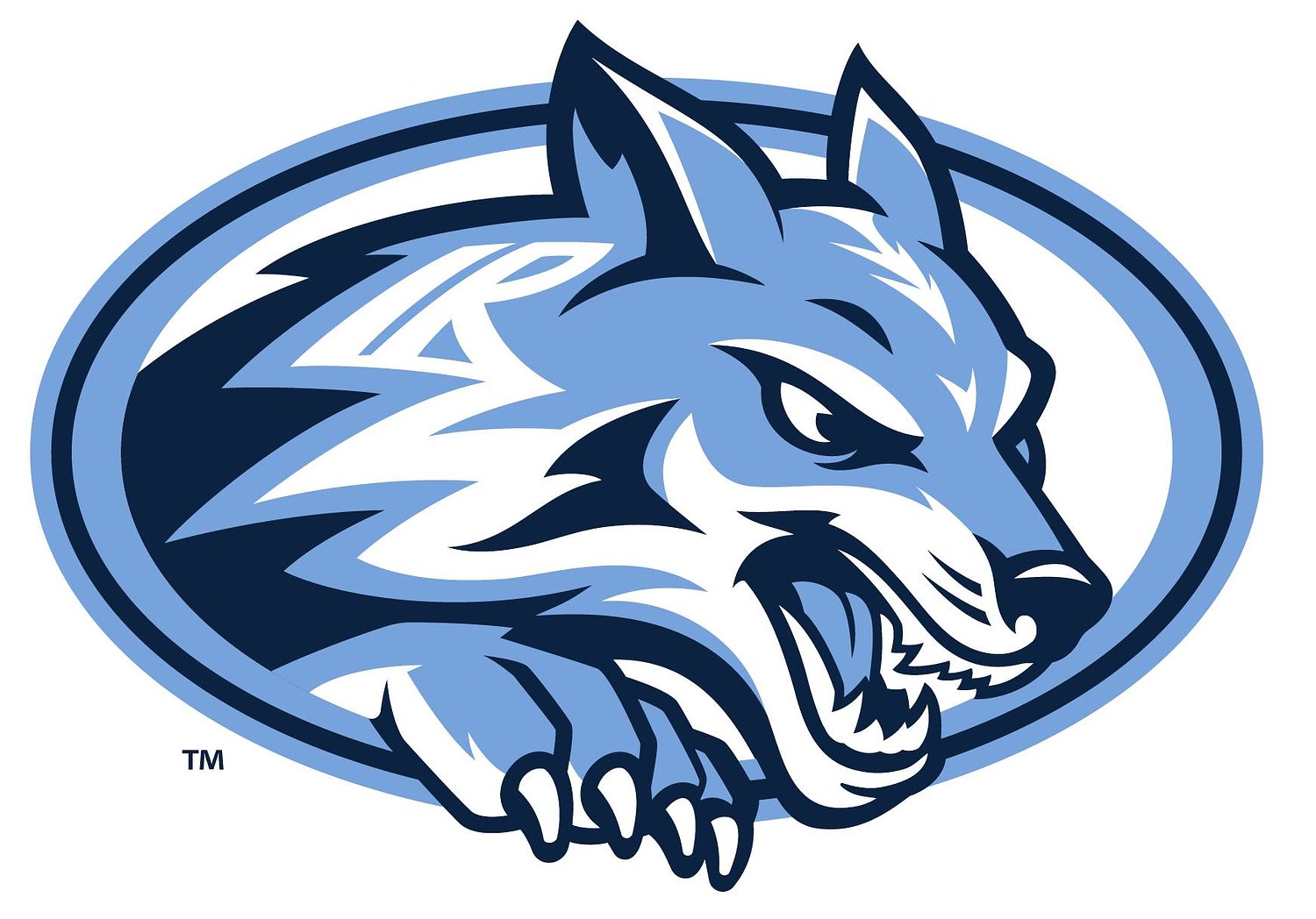 Indian River boys soccer snaps 17-game losing streak to top league rival in stunning playoff upset