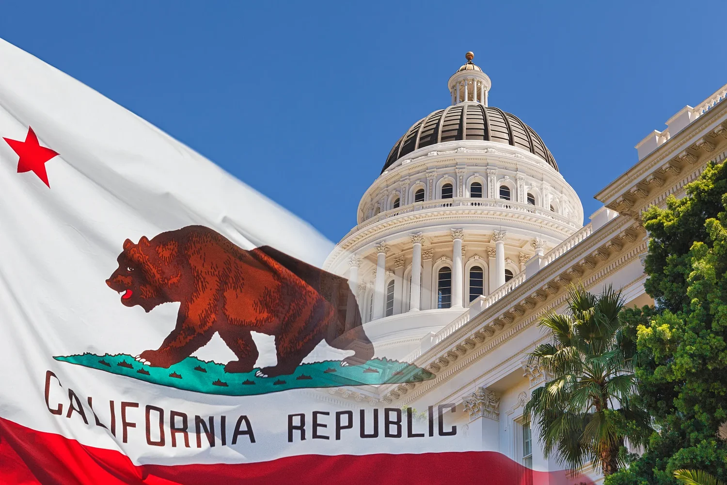 Why Some California Democrats Step Up to Fill the Republican Void