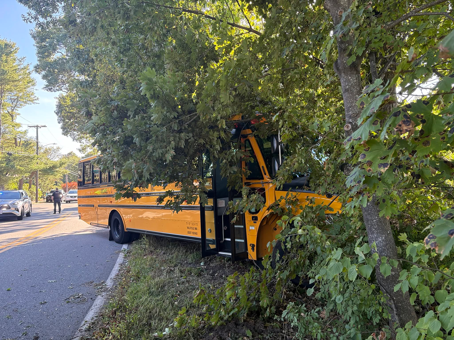 Student taken to hospital after Westwood school bus crashes into tree
