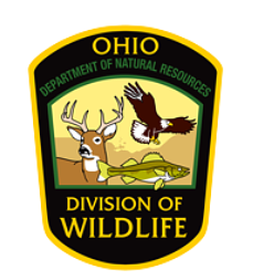 Wildlife officers rescue eagles, horses; crack down on illegal hunting and fishing