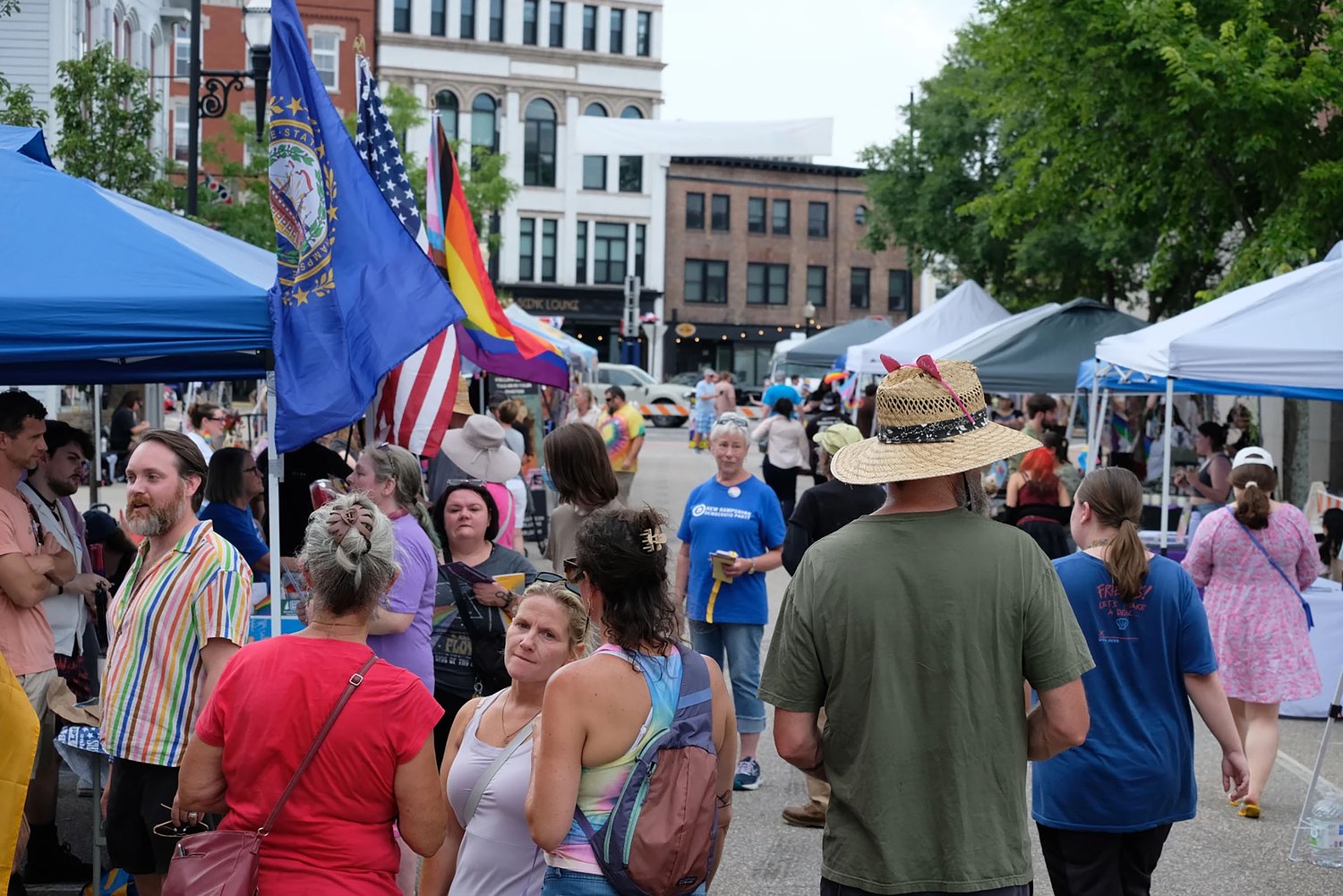 With summer campaign season coming to an end, Dem voters in NH's CD1 must soon decide