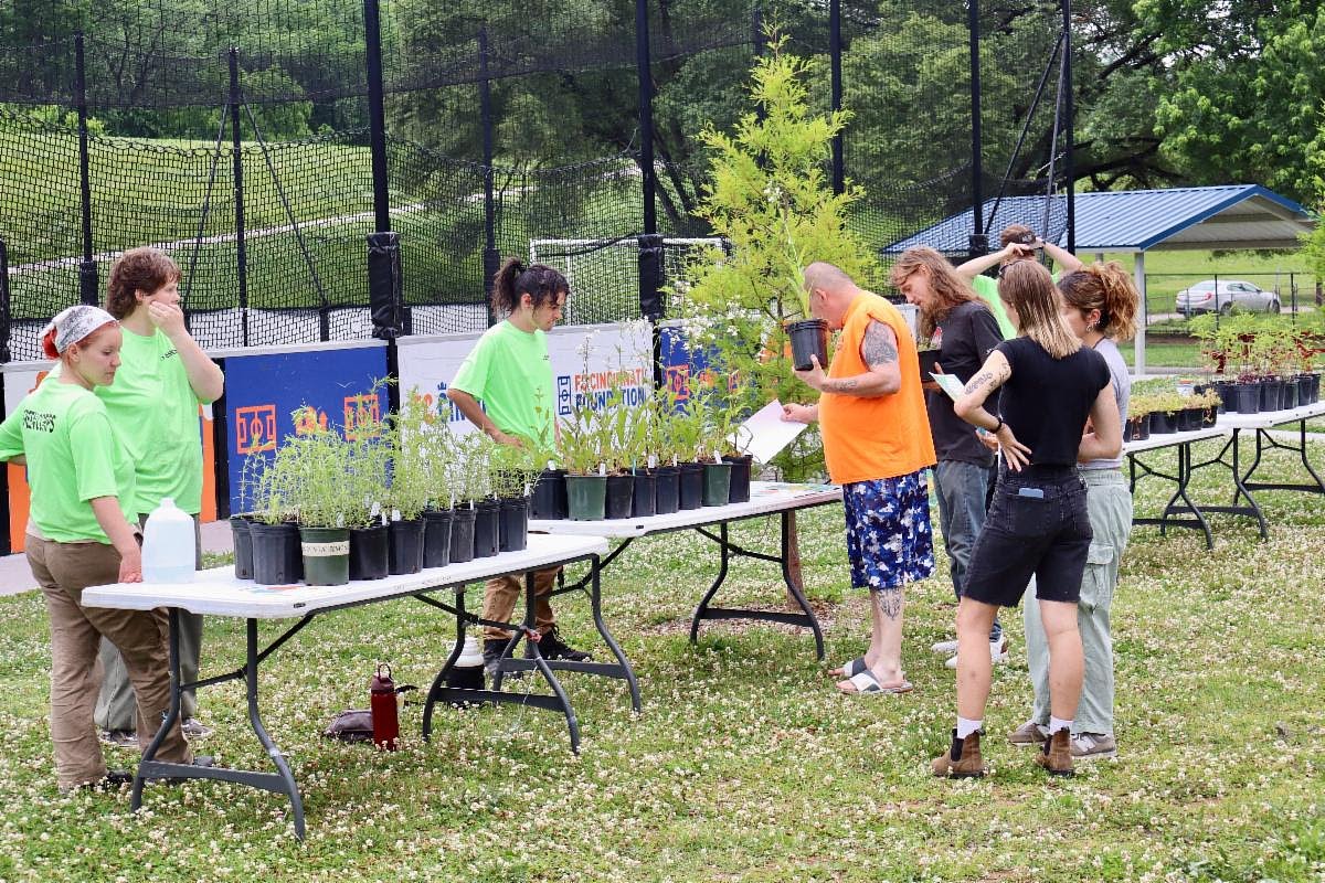 Covington's native plant giveaway returns in September