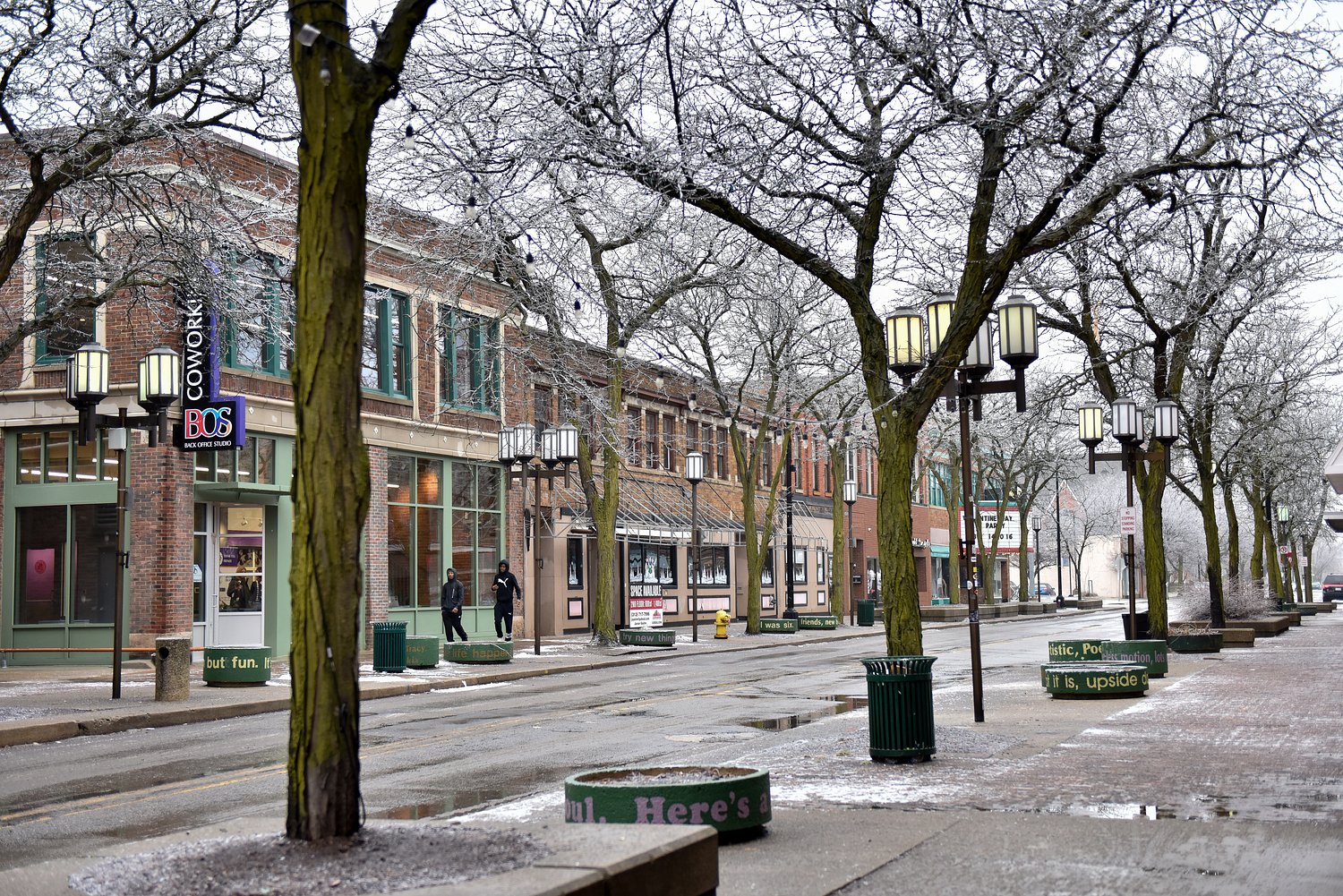 Ypsilanti to assess 6K trees in parks, public spaces to improve urban canopy