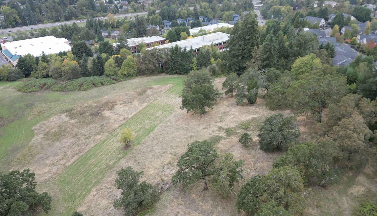 Oregon law ending public hearings for most new housing is ‘blatantly unconstitutional,’ lawyer says