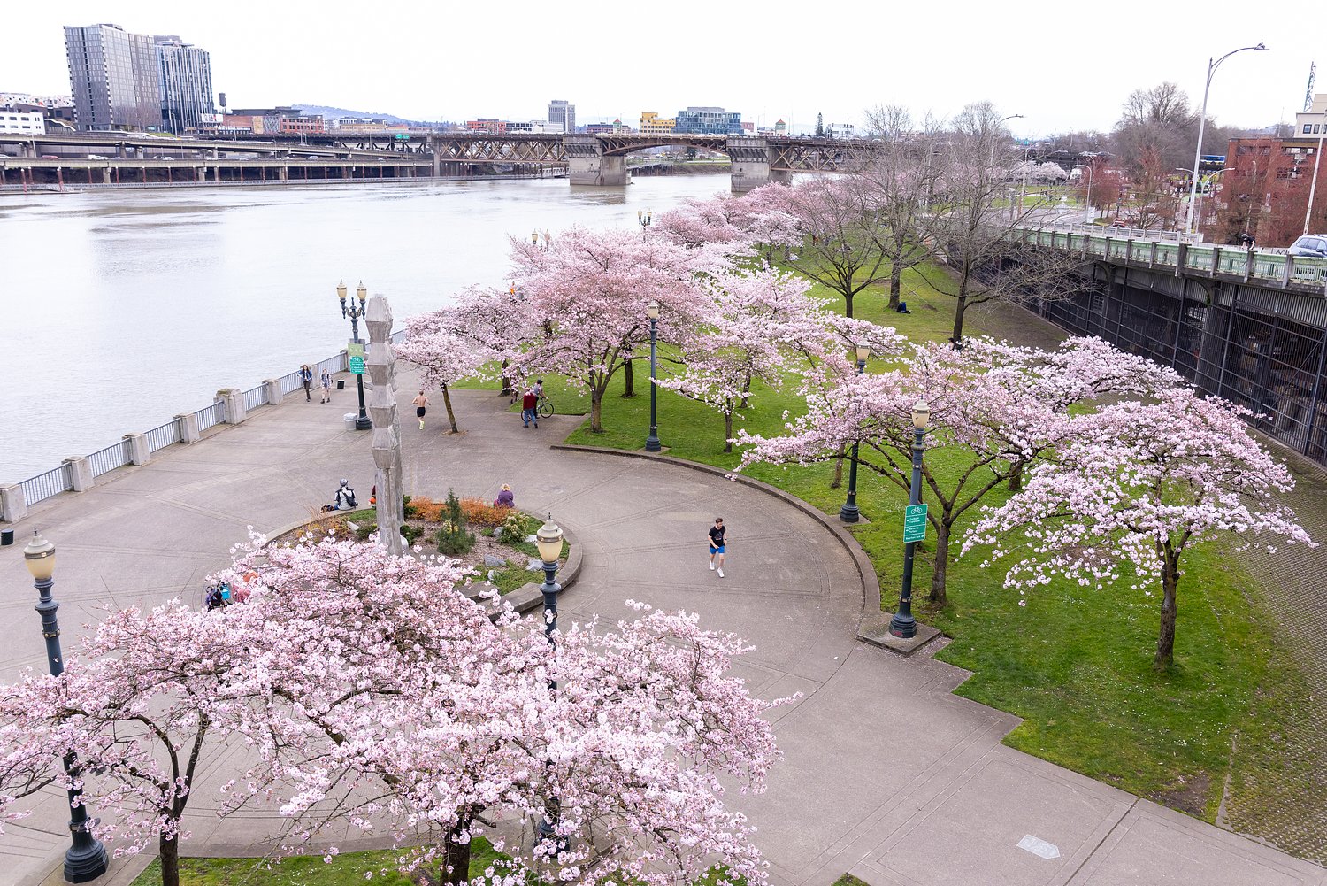 Portland launches competition to reimagine waterfront park