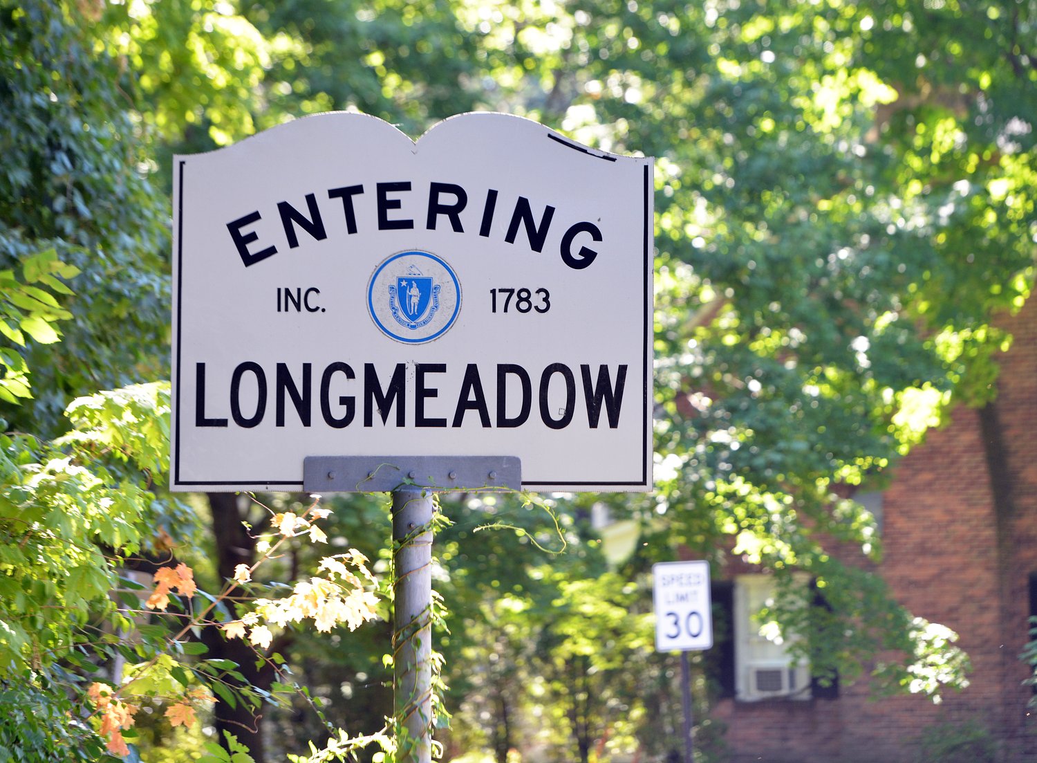 Proposed study would link historical town buildings to police-fire complex