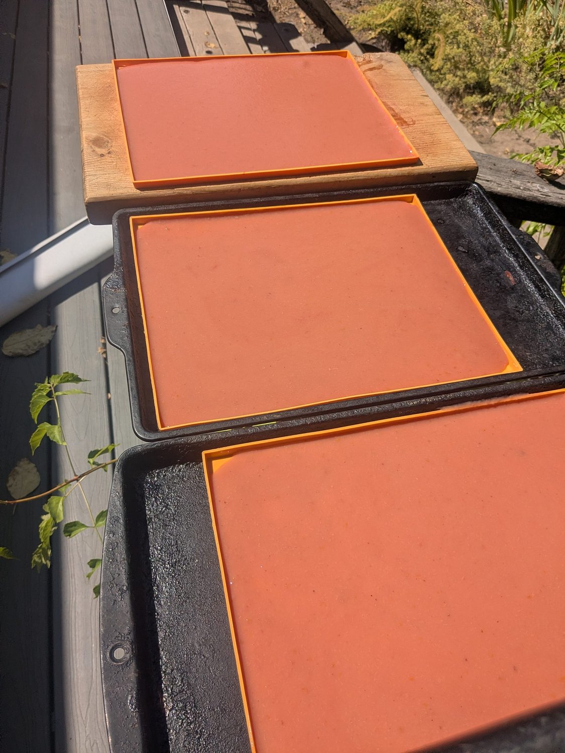Make your own fruit leather — harnessing old tech and new