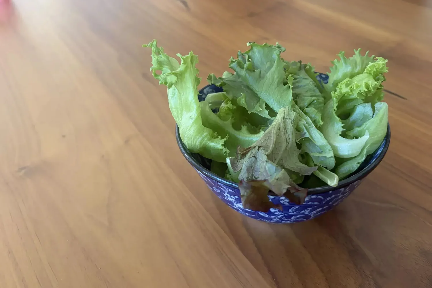 Is it OK to eat lettuce again? A doctor weighs in