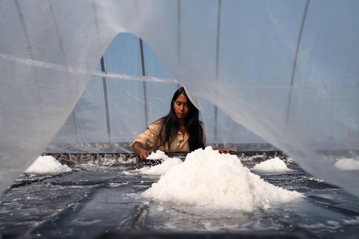 She returned to a Maine island where she grew up to start a salt farm