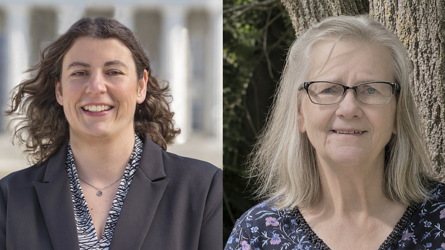 Orange County candidates offer differing backgrounds for Senate seat
