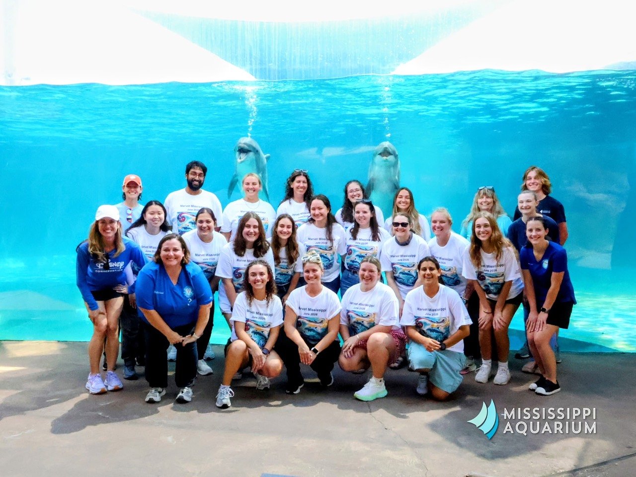 Mississippi Aquarium receives accolades after hosting marine veterinary medicine workshop