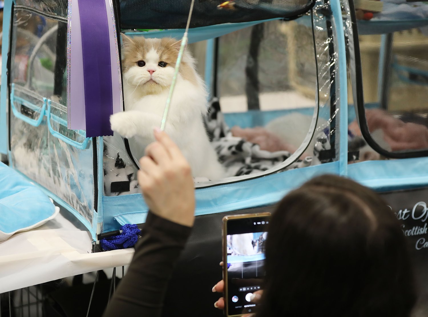 Should pet owners get a $900 tax break? Here’s what N.J. residents think about the proposal.