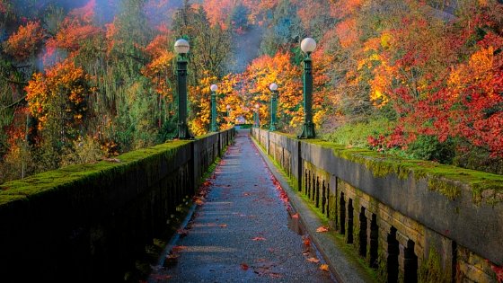 11 Best Places To See The Arkansas Fall Foliage